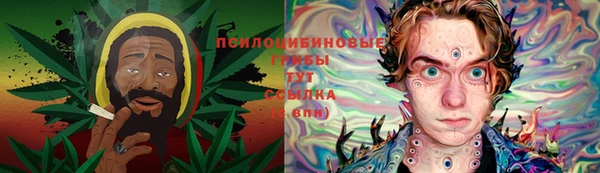 гашик Михайлов