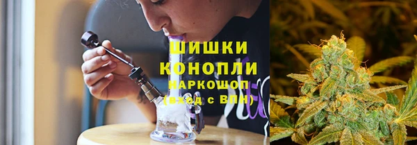 ПСИЛОЦИБИНОВЫЕ ГРИБЫ Михайловка