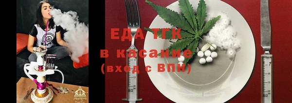гашик Михайлов