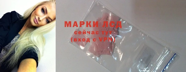 гашик Михайлов