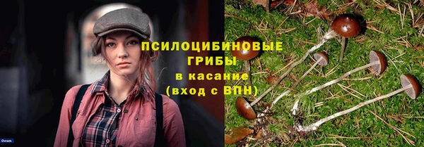 ПСИЛОЦИБИНОВЫЕ ГРИБЫ Михайловка
