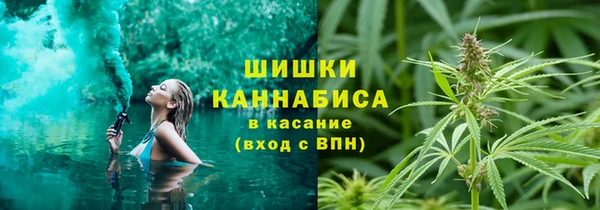 ПСИЛОЦИБИНОВЫЕ ГРИБЫ Михайловка
