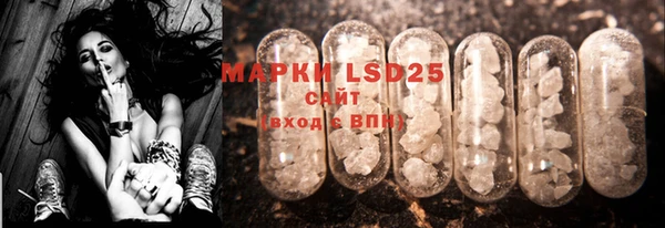 ПСИЛОЦИБИНОВЫЕ ГРИБЫ Михайловка
