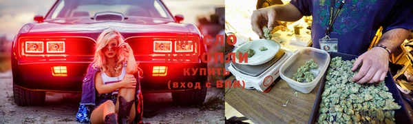 прущие крисы Михайловск