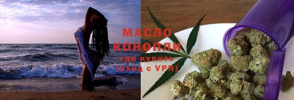гашик Михайлов