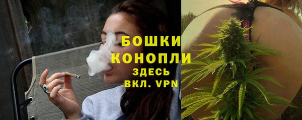 ПСИЛОЦИБИНОВЫЕ ГРИБЫ Михайловка