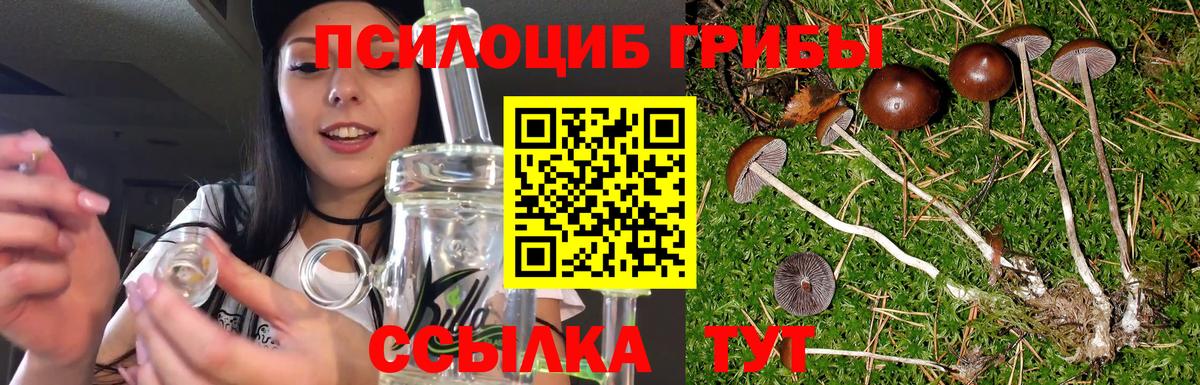 Псилоцибиновые грибы прущие грибы  Вход с VPN  Волоколамск  закладка  Псилоцибиновые грибы Magic Shrooms 